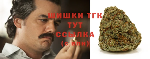 хмурый Балабаново