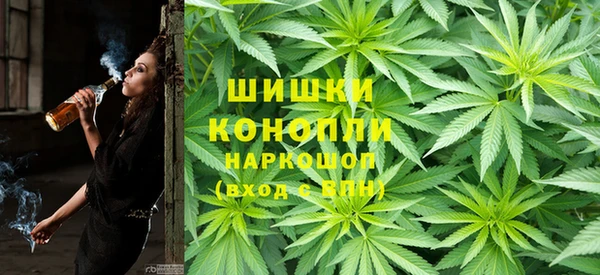 дживик Балахна