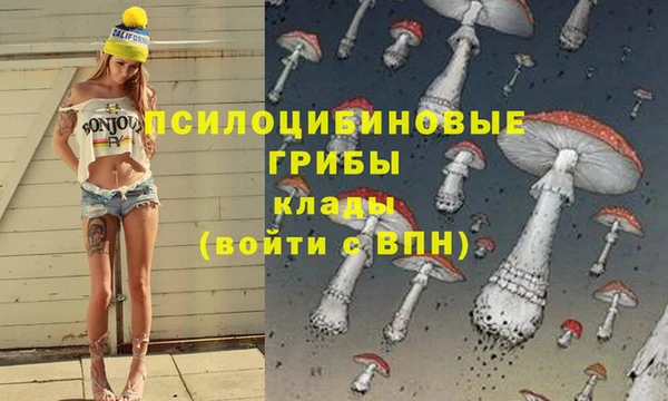 хмурый Балабаново